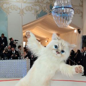 Jared Leto dressed as Choupette