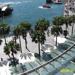 Circular Quay from the Cahill Expressway.