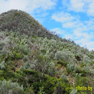 Tomaree Head, Newcastle, NSW.