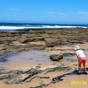 Rockpools at Newcastle Beach, NSW.