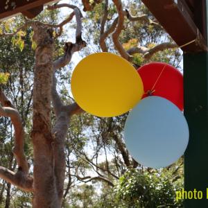Balloons at a birthday party : Oatley Park, Sydney, NSW.